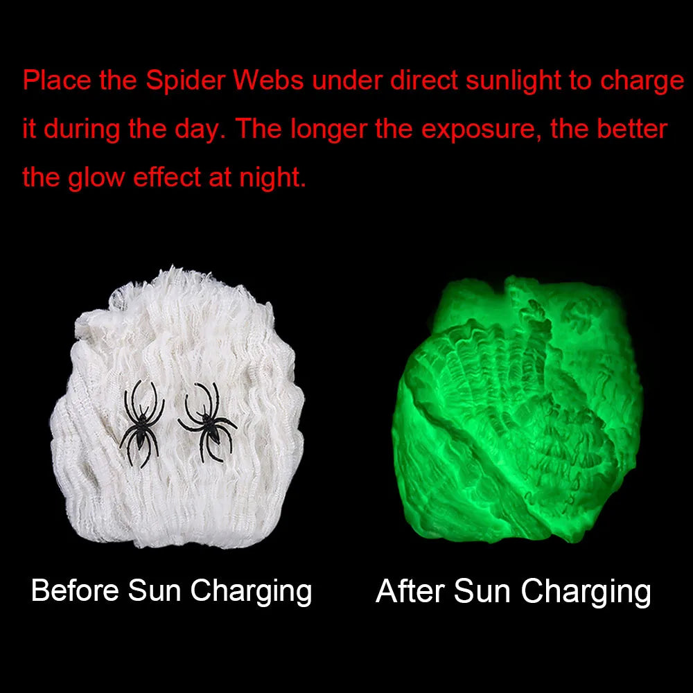 Glow-in-the-Dark Spider Web Halloween Decoration