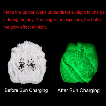 Glow-in-the-Dark Spider Web Halloween Decoration