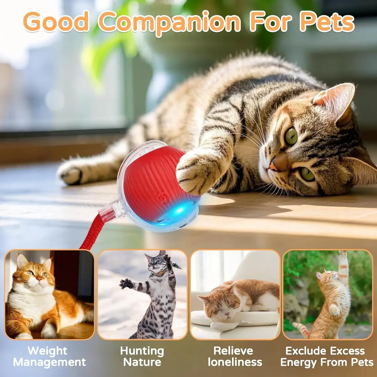 Cat playing with a red ball toy on a wooden surface, with text 'Good Companion For Pets' at the top.