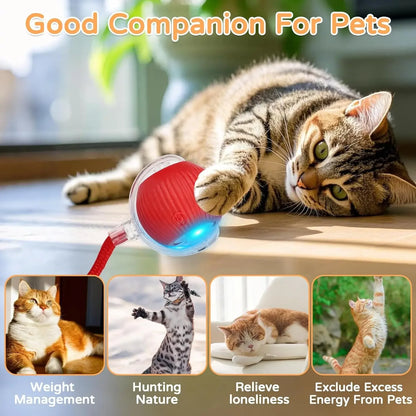 Cat playing with a red ball toy on a wooden surface, with text 'Good Companion For Pets' at the top.