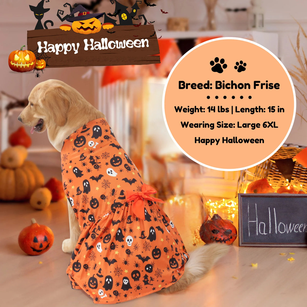 Halloween Pet Dress — Striped Costume for Medium & Large Dogs and Cats