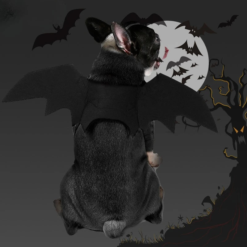 Felt Bat Wings Pet Costume – Halloween Outfit for Small Dogs & Cats