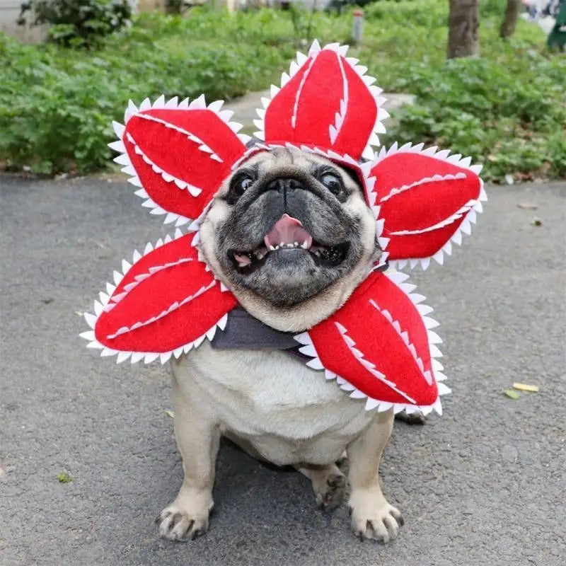 Scary Monster Flower Pet Hat – Halloween Cat & Dog Headwear