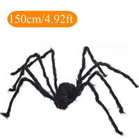 150cm