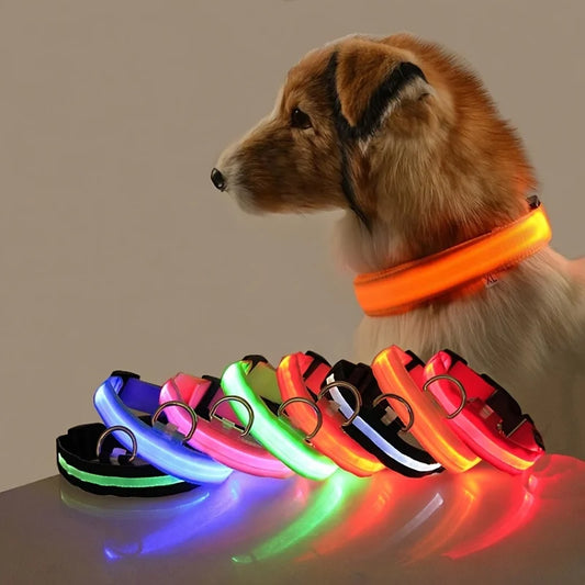LED Dog Collar – Glow in the Dark Flashing Nylon Safety Collar