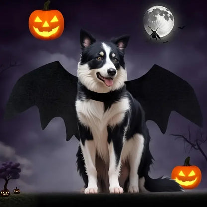 Felt Bat Wings Pet Costume – Halloween Outfit for Small Dogs & Cats
