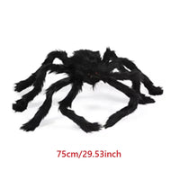 75 cm