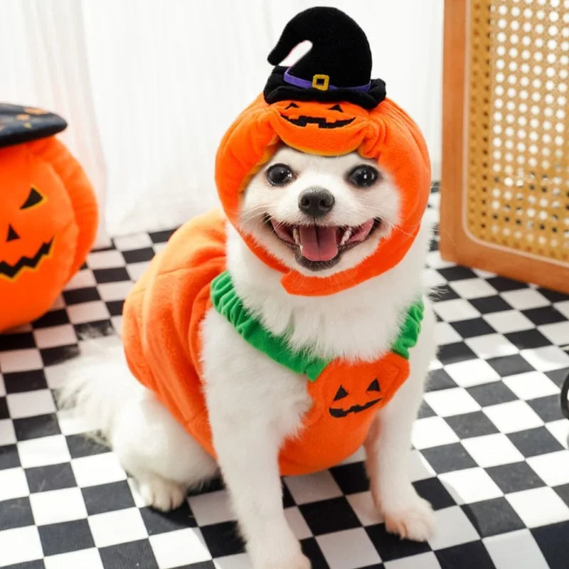 Pumpkin Plush Pet Hat – Halloween Costume for Cats & Small Dogs