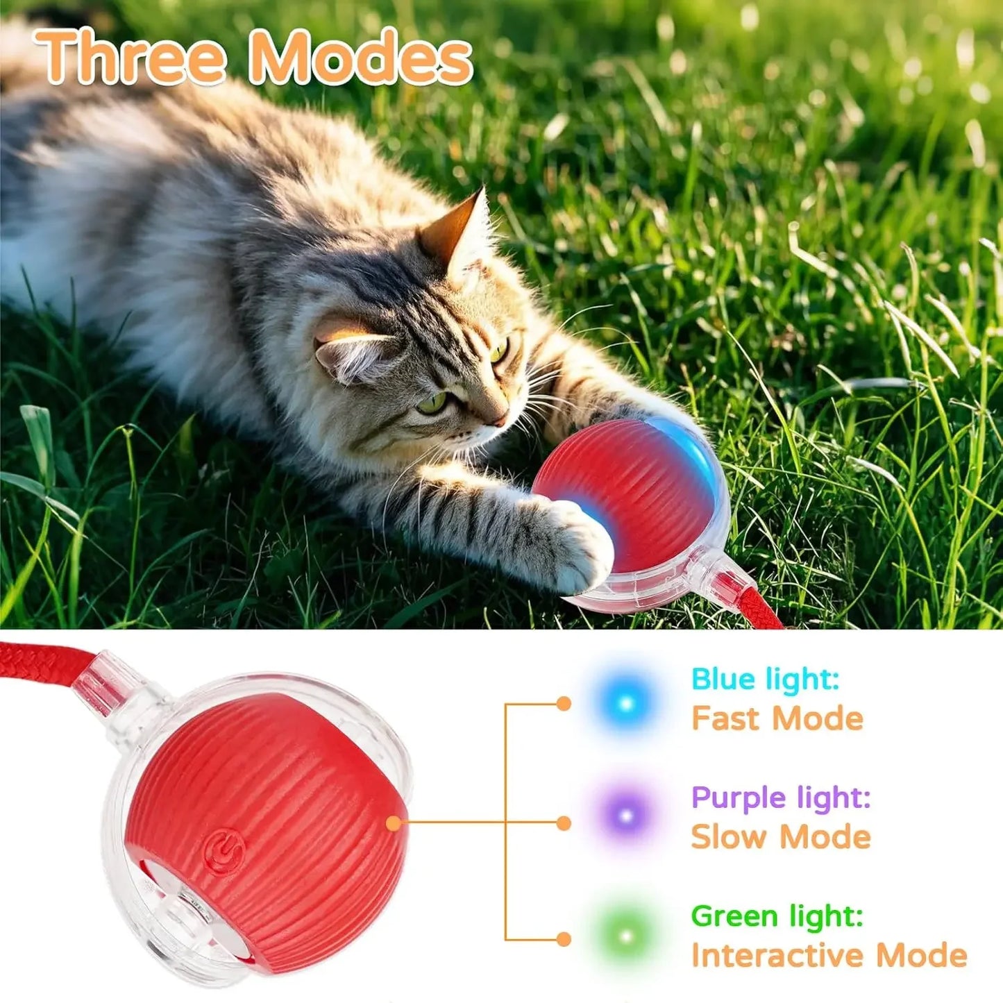Cat playing with a red toy ball on grass, showing three light modes.