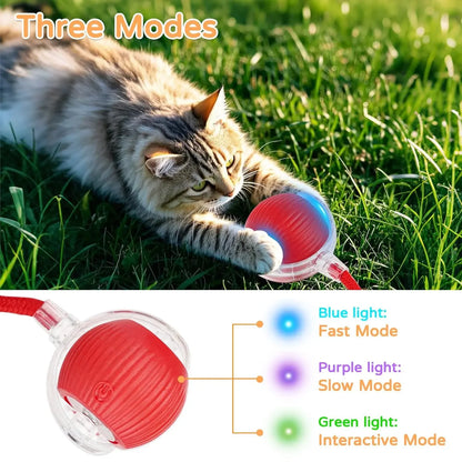 Cat playing with a red toy ball on grass, showing three light modes.