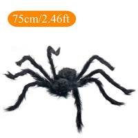 75cm
