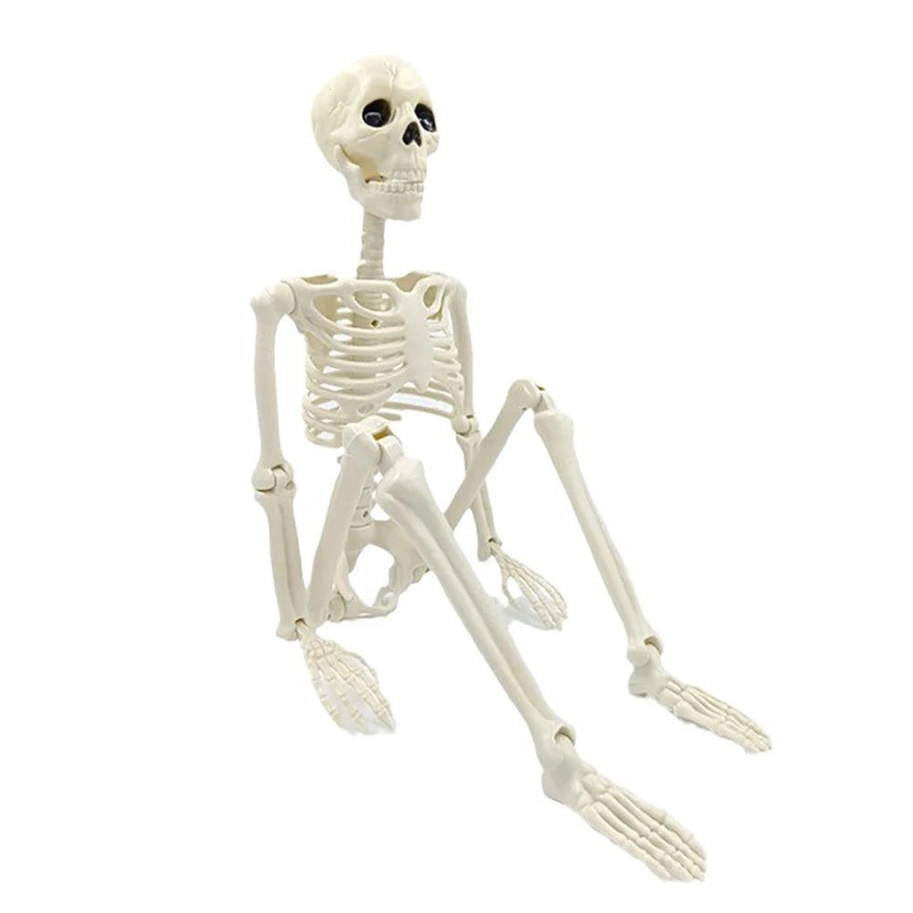 Posable Plastic Halloween Skeleton – 40cm Horror Decoration