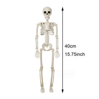 Skeleton