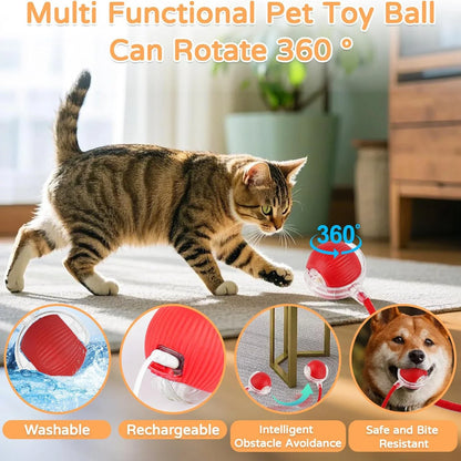 Cat playing with a multi-functional pet toy ball in a home setting