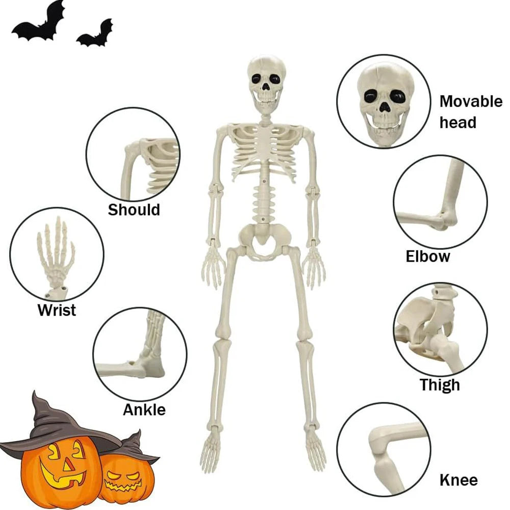 Posable Plastic Halloween Skeleton – 40cm Horror Decoration