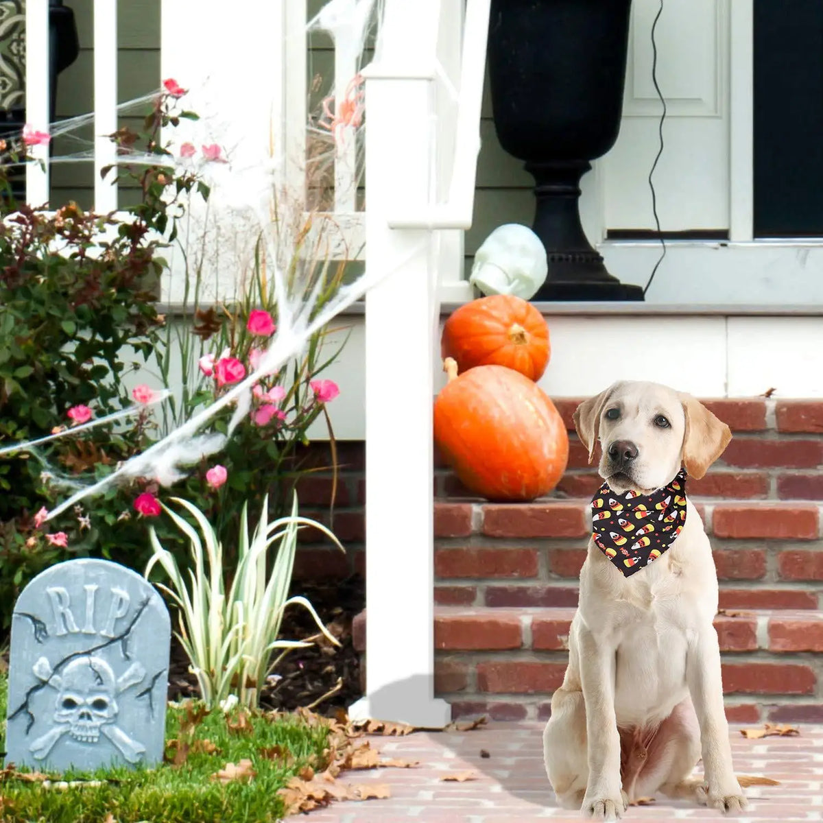 Halloween Pet Bandana Scarf – Triangle Scarf for Dogs & Cats